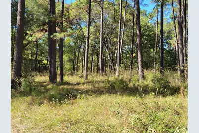 500 S Pine Lake Road, Montgomery, TX 77316 - Photo 28