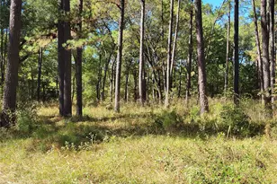 500 S Pine Lake Rd, Montgomery, TX 77316 - Photo 28