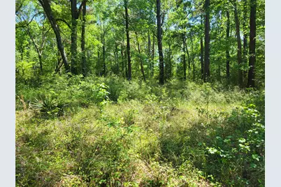 500 S Pine Lake Road, Montgomery, TX 77316 - Photo 34