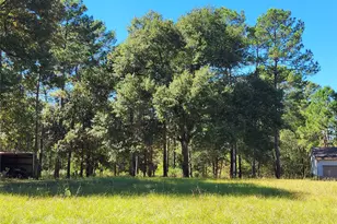 500 S Pine Lake Rd, Montgomery, TX 77316 - Photo 22