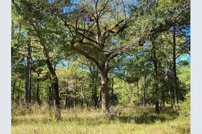 500 S Pine Lake Road, Montgomery, TX 77316 - Photo 8