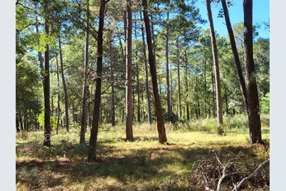 500 S Pine Lake Road, Montgomery, TX 77316 - Photo 24