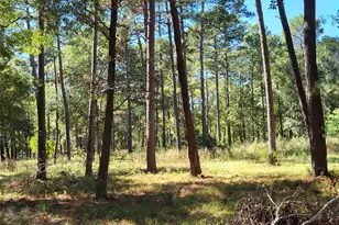 500 S Pine Lake Rd, Montgomery, TX 77316 - Photo 24