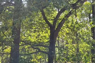 500 S Pine Lake Rd, Montgomery, TX 77316 - Photo 38