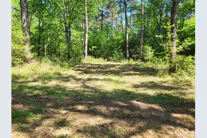 500 S Pine Lake Road, Montgomery, TX 77316 - Photo 36