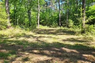 500 S Pine Lake Rd, Montgomery, TX 77316 - Photo 36