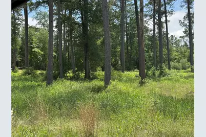 015 Private Road 6028, Brookeland, TX 75931 - Photo 1