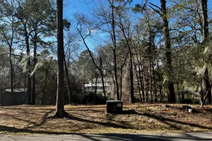 19 Clearwater Cir, Coldspring, TX 77331 - Photo 1