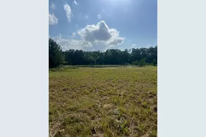24980 Blackburn Dr, Splendora, TX 77372 - Photo 1