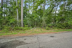 1007 W Cedar River Rd, Conroe, TX 77316 - Photo 48