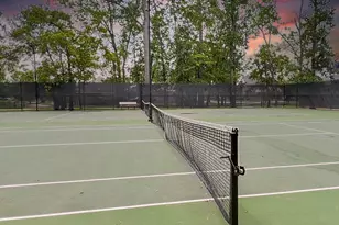 25830 Clear Springs Way, Spring, TX 77373 - Photo 40