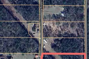 1353 Plum Pudding Rd, Livingston, TX 77351 - Photo 1