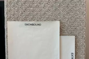 31038 Golden Felipe St, Fulshear, TX 77441 - Photo 20