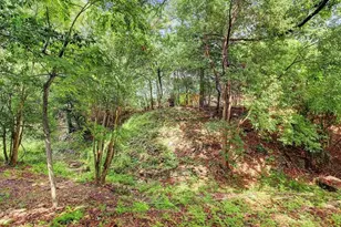 1231 Bay Oaks Rd, Houston, TX 77008 - Photo 6