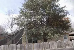 9606 Wikieup St, San Antonio, TX 78211 - Photo 6