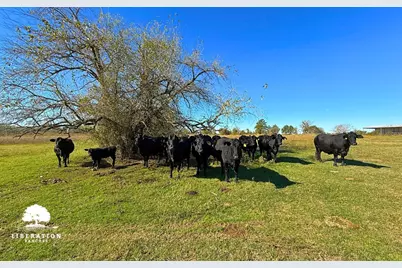 13316 Farm To Market Rd 2620 Tract 7, Bedias, TX 77831 - Photo 8