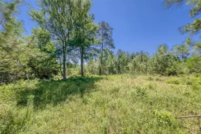 123 Gypsum Road, Willis, TX 77378 - Photo 12