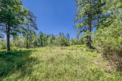 123 Gypsum Road, Willis, TX 77378 - Photo 4