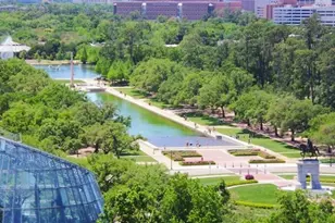 1111 Autrey St, Houston, TX 77006 - Photo 24