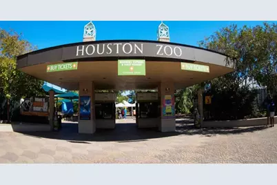 1111 Autrey Street #5, Houston, TX 77006 - Photo 18