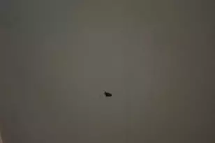 4303 Chestergate Dr, Spring, TX 77373 - Photo 28