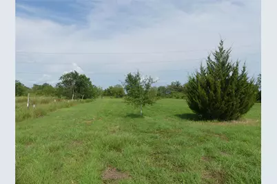 20119 E Paloma Loop, Rosharon, TX 77583 - Photo 4