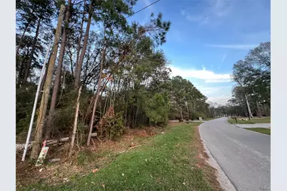 19541 Desna Drive, Porter, TX 77365 - Photo 10