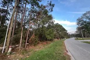 19541 Desna Dr, Porter, TX 77365 - Photo 10