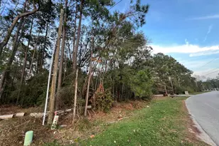 19541 Desna Dr, Porter, TX 77365 - Photo 8