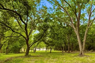 8414 Schiro Rd, Hitchcock, TX 77563 - Photo 38