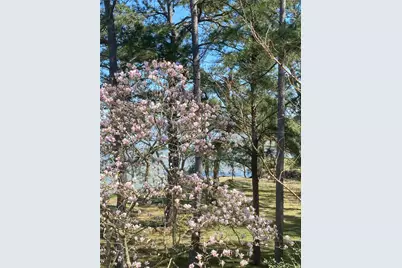 425 Old Fm 224, Coldspring, TX 77331 - Photo 32