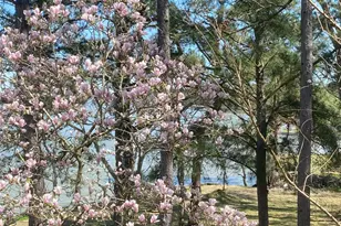 425 Old Fm 224, Coldspring, TX 77331 - Photo 32