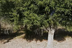 723 Macek Rd, Richmond, TX 77469 - Photo 1