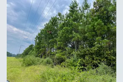 34 Highway 94 Road, Groveton, TX 75845 - Photo 8