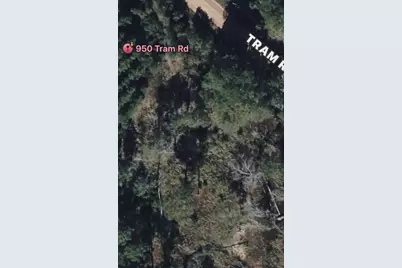 950 Tram Road, Livingston, TX 77351 - Photo 10