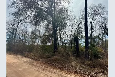 950 Tram Road, Livingston, TX 77351 - Photo 4
