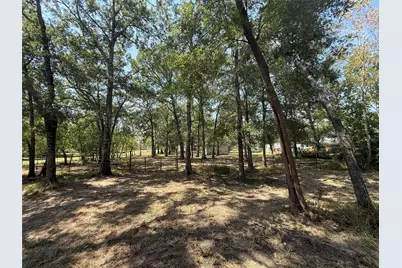 384 County Road 4017, Dayton, TX 77535 - Photo 16