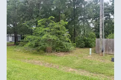 125 Trinidad Lane, Point Blank, TX 77364 - Photo 2
