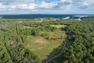 202 Yellow Rosewood Ln, New Caney, TX 77357 - Photo 22