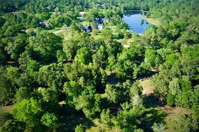 59 Beaconsfield Drive, Magnolia, TX 77355 - Photo 48