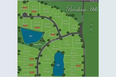 Lot 9 Sunflower, Chappell Hill, TX 77426 - Photo 4