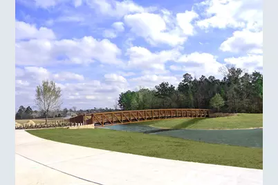 220 Nirnroot Court, Montgomery, TX 77316 - Photo 42