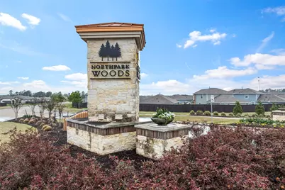 25953 Northpark Birch Drive, Porter, TX 77365 - Photo 40