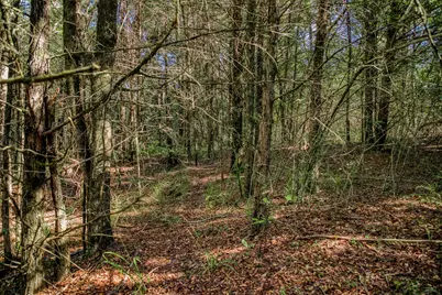 7266 County Road 449, Marquez, TX 77865 - Photo 22