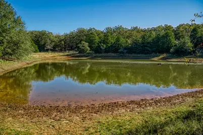 7266 County Road 449, Marquez, TX 77865 - Photo 10