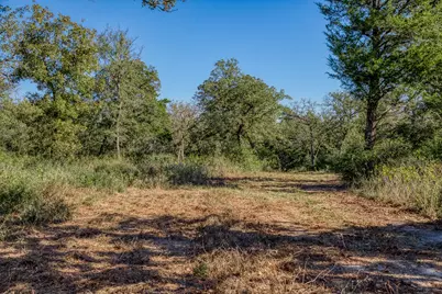 7266 County Road 449, Marquez, TX 77865 - Photo 4