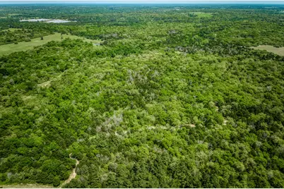 7266 County Road 449, Marquez, TX 77865 - Photo 30