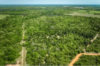 7266 County Road 449, Marquez, TX 77865 - Photo 34