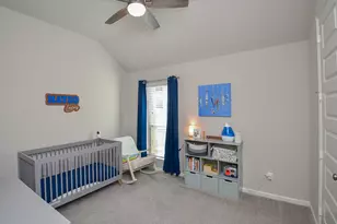 30247 Gold Finch Pl, Fulshear, TX 77441 - Photo 22