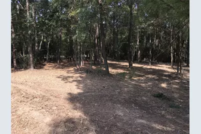 1930 Autumn Ridge Drive Drive, Conroe, TX 77304 - Photo 2